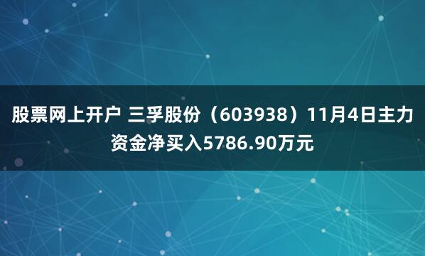 股票网上开户 三孚股份（603938）11月4日主力资金净买入5786.90万元