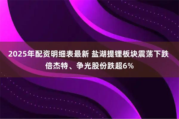 2025年配资明细表最新 盐湖提锂板块震荡下跌 倍杰特、争光股份跌超6%